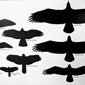PXL_20250519_175924625~2.jpg